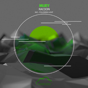 Racoon (Following Light Remix)