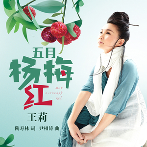五月杨梅红 (广场舞版)