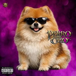 perro en celo