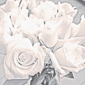 Honey Mine (Memoryhouse Remix)