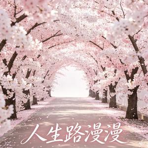 人生路漫漫(漂泊的船何时靠岸)