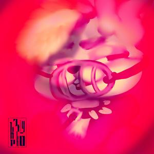 ALL BUNNIES ARE SLUTZ