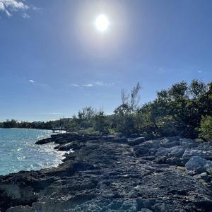 There's Just One Left