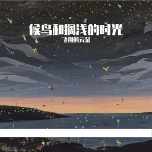 候鸟与搁浅的星光