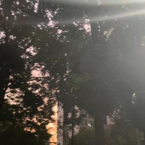 约会（デート）（钢琴版）