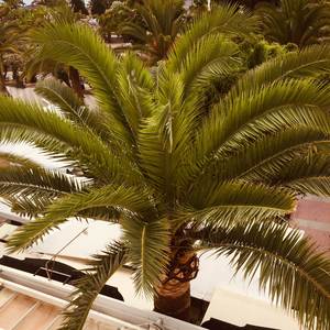 Let Us Stay Together (In Peace Part One)