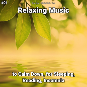 Relaxing Music Pt. 24