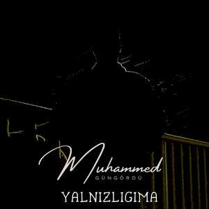 Yalnızlığıma
