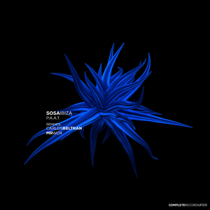 P.A.A.T. (Mr Wox Remix)