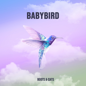 Babybird