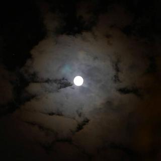 民谣丨孤独总在难眠的夜