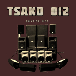 Tsako 012 (Instrumental Version)