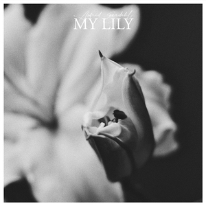 My Lily