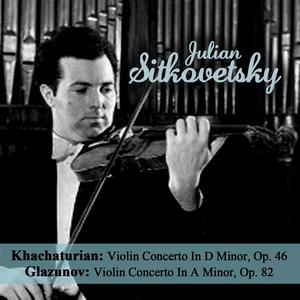 Violin Concerto In D Minor, Op. 46: I. Allegro Con Fermezza