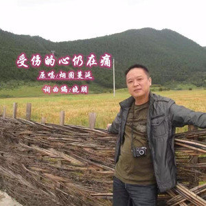 受伤的心仍在痛DJ