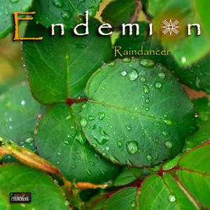 Raindancer