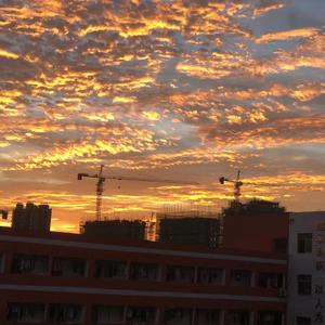 后来（章鱼哥版）.