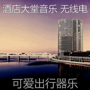 优美酒店大堂器乐