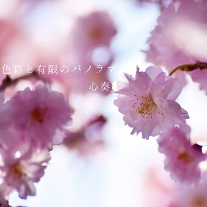 色彩と有限のパノラマ