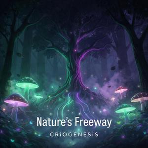 Nature’s Freeway