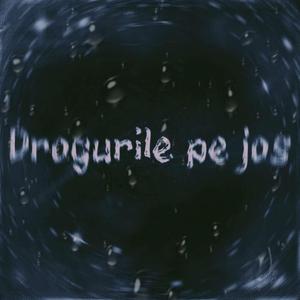 Drogurile Pe Jos