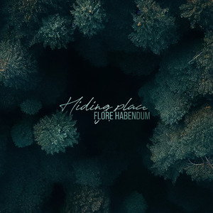 Hiding Place