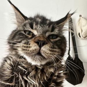 秋后算账（prod by.MoonVibe Production）