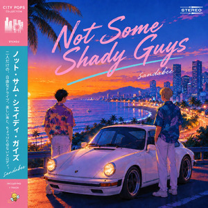 Not Some Shady Guys