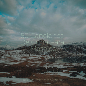 Armonía Desatada a Través de la Soledad