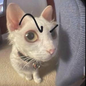 i smoked away my brain (i'm god x demons mashup) (sped up)