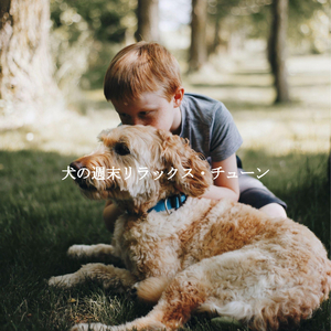 Amazing Ambience for Cat Friendly Puppy