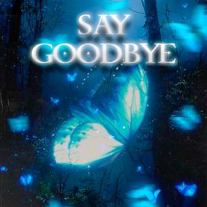 Say Goodbye (Farud Ebratt Remix)