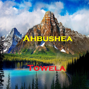 Towela