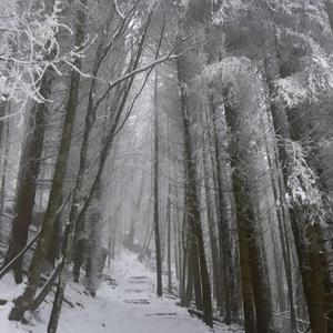 desktop (feat. IgnoxScump)