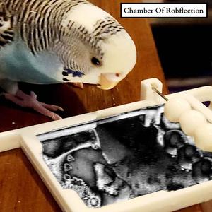 Doo-Rob (Interludinal)