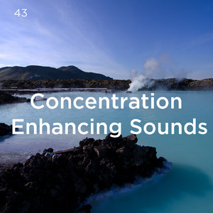 화이트 노이즈 수면