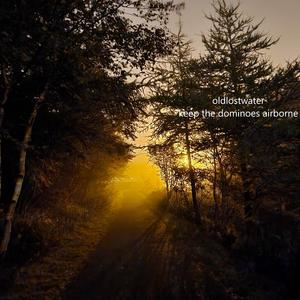 Elon Musk DESTROYS Donald Trump