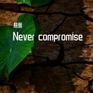 Never compromise