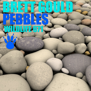 Pebbles (Kevin McKay Remix)