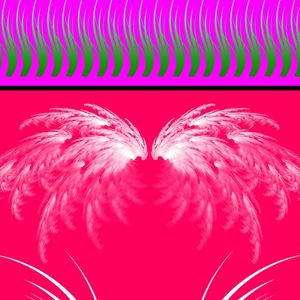 南普天生就是trap