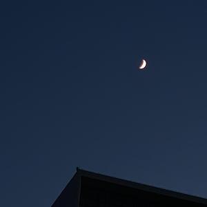 王招君（ukulele弹唱版）