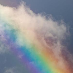 我一点都不想你