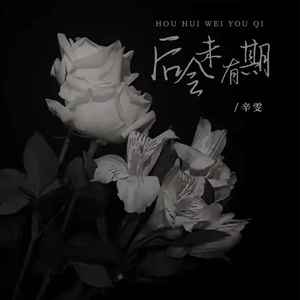 后会未有期 (DJ名龙版伴奏)