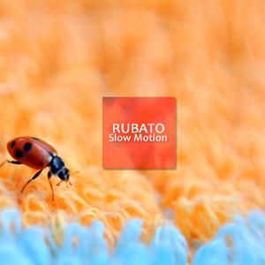 천천히 잊어볼게