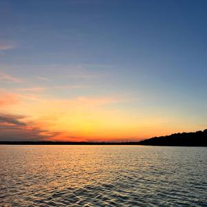 Vicarious (feat. MERLIN)