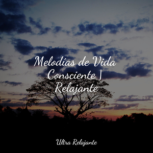 Impresiones De Paz