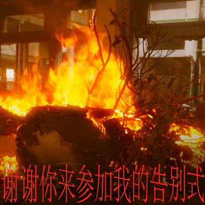 谢谢你来参加我的告别式