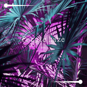 [BEAT] Purple haze "紫雾" NewWave Beat