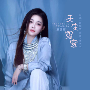 天生冤家 (DJ版)