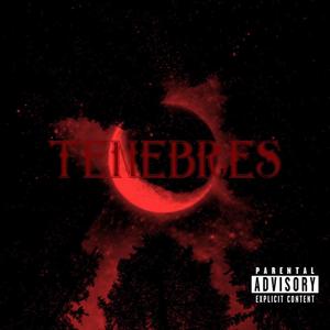 TENEBRES (feat. B€€ru$ & B¥)
